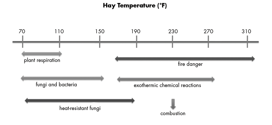Diagram of hay temperature in fahrenheit on a number line ranging from 70 degrees on the left, lower end to 310 degrees on the right, upper end. Below lists what happens during each temperature range. From 70 degrees to 110 degrees, there is plant respiration. From 70 degrees to 150 degrees, there is fungi and bacteria. From 70 degrees to 190 degrees, there is growth in heat-resistant bacteria. From 150 degrees to 310 degrees. there is danger of fire and combution. From 150 degrees to 270 degrees, there are exothermic chemical reactions taking place.